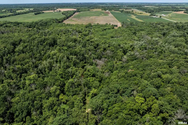 $380,000 | 13 Walker Twp West Point, Sutter, IL 62373