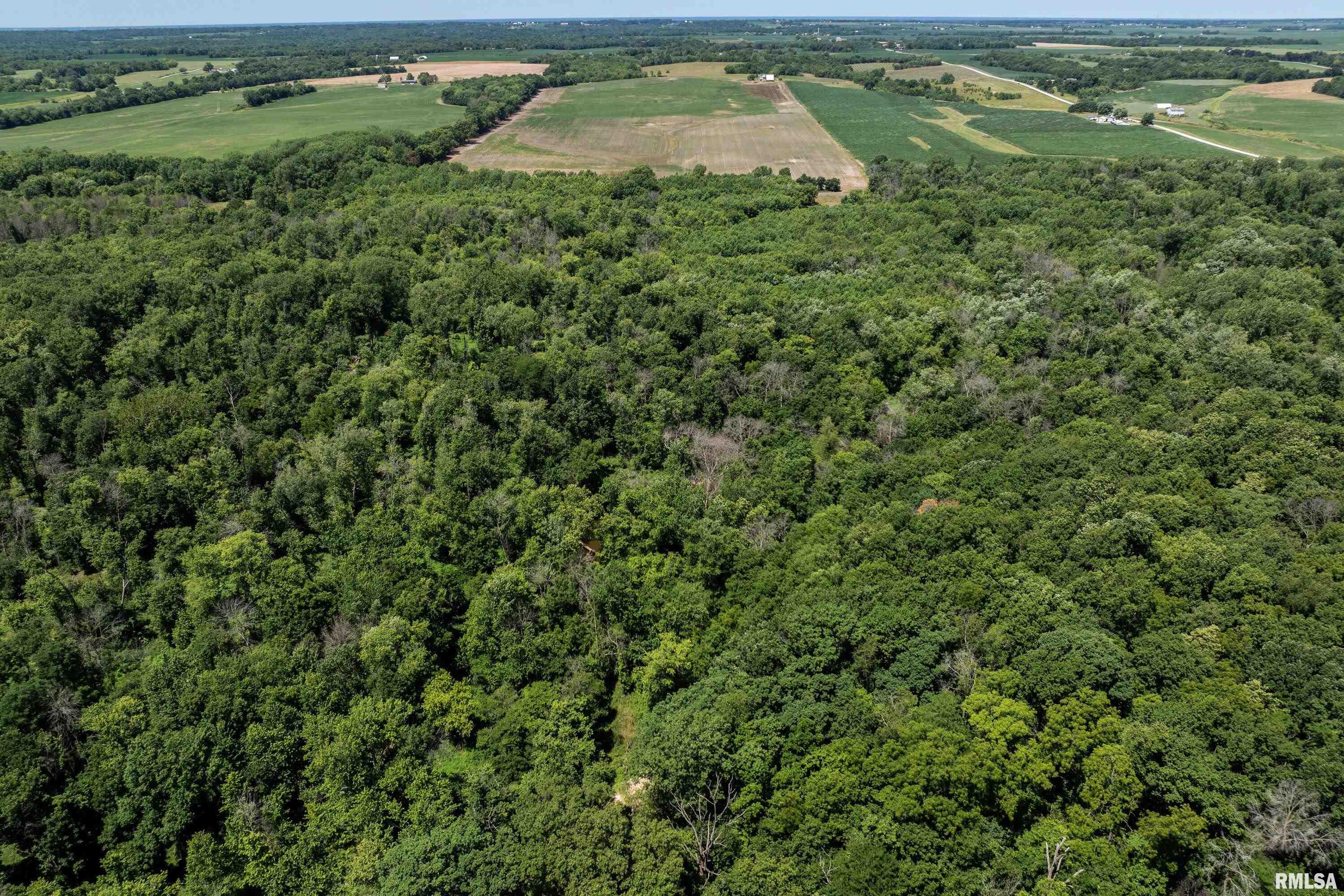 13 Walker Twp West Point Sutter, IL 62373 - Photo 9 of 11