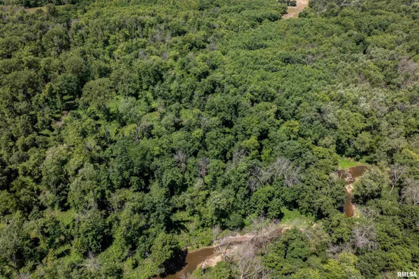 $380,000 | 13 Walker Twp West Point, Sutter, IL 62373