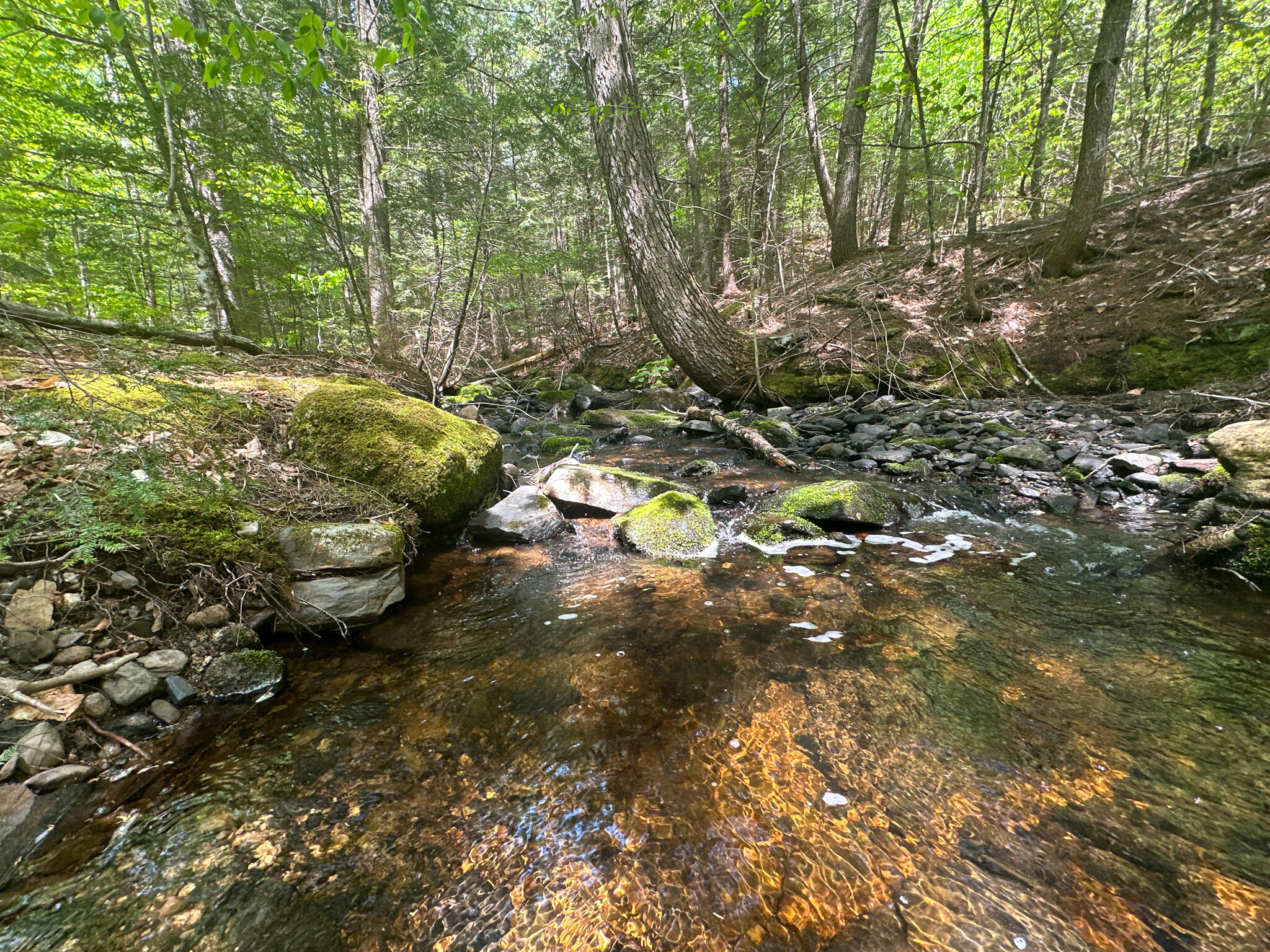 M2-l23 Getchell Mountain Road Carroll Plt, ME 04487 - Photo 22 of 33 23