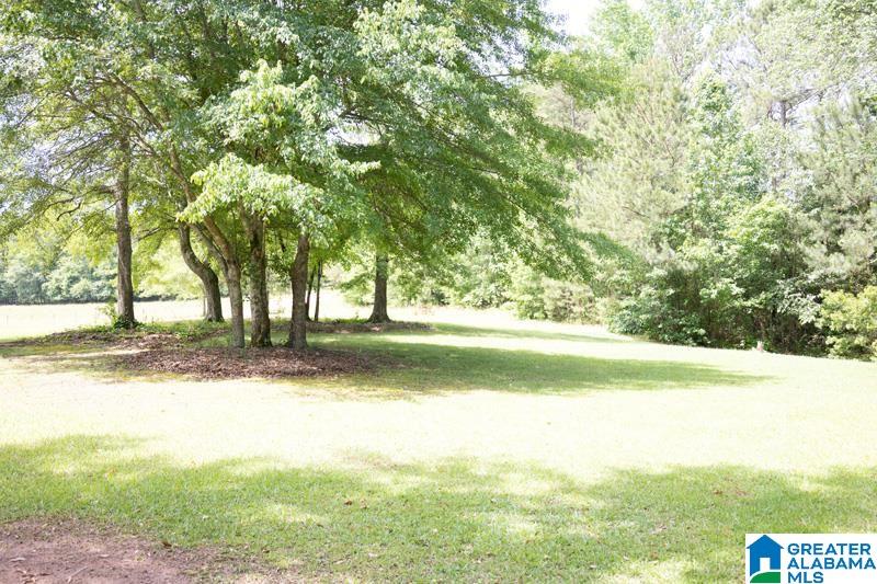 1081 County Road 684 Roanoke, AL 36274 - Photo 19 of 26