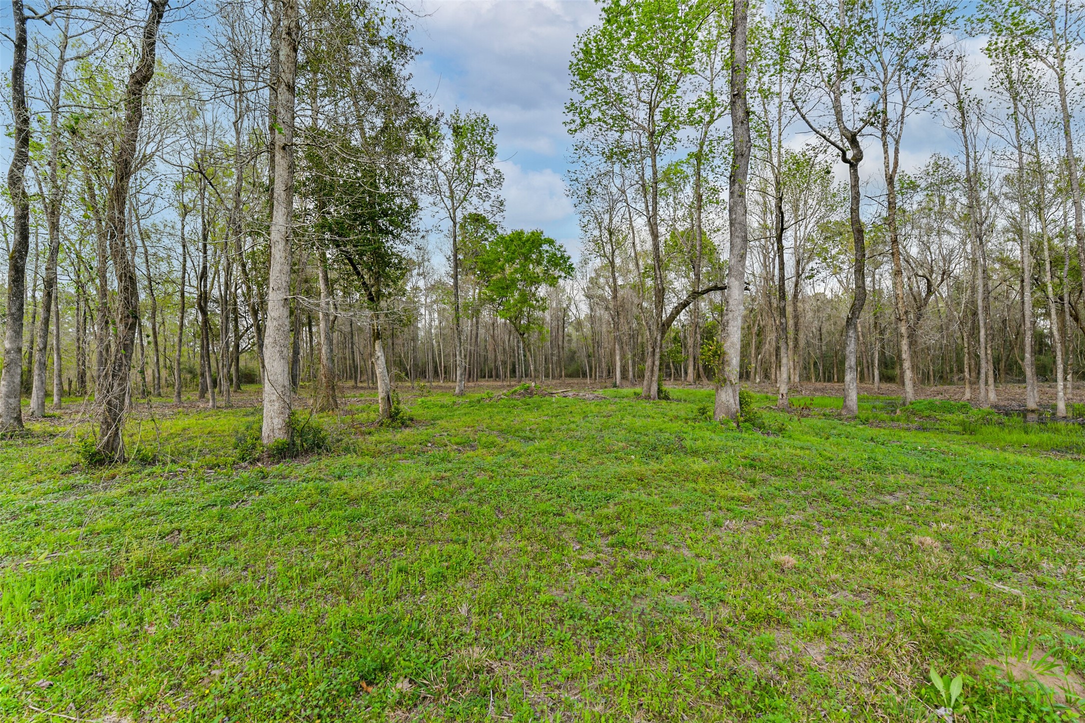 17700 Fregia Road Hull, TX 77564 - Photo 42 of 42