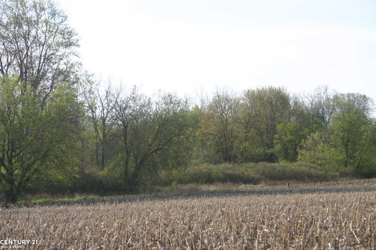 0 Corneil Road, Unit PARCEL 8 Imlay City, MI 48444 - Photo 2 of 30 Gallery Image 2