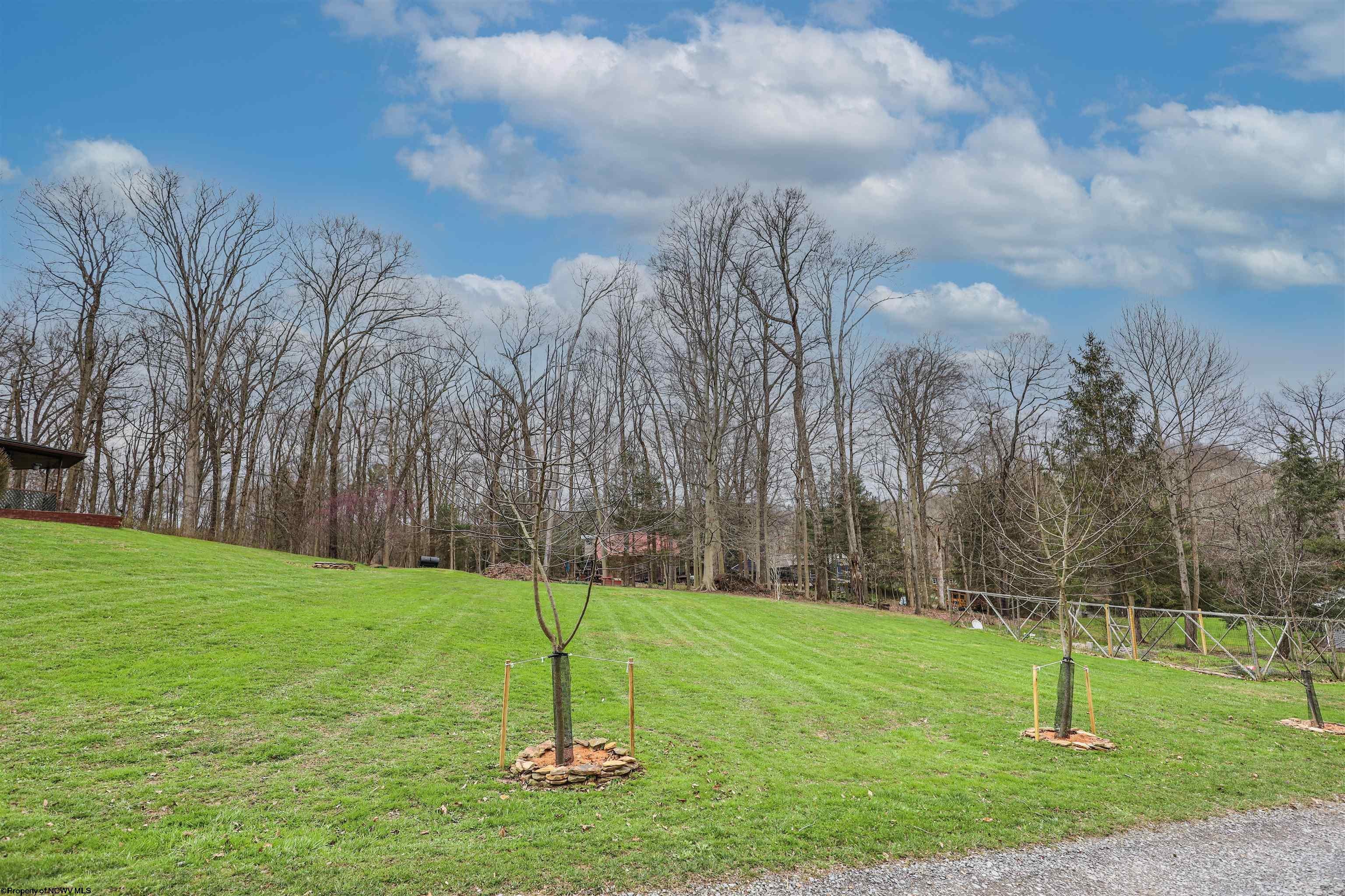 31 Crosby Road Morgantown, WV 26508 - Photo 4 of 27 Gallery Image 4