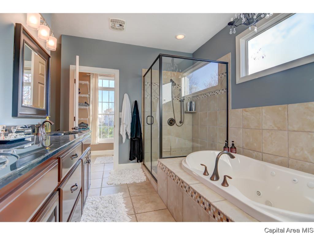 325 Brookside Lane Chatham, IL 62629 - Photo 13 of 27 Gallery Image 13