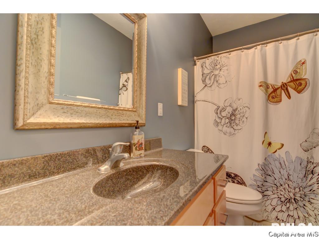 325 Brookside Lane Chatham, IL 62629 - Photo 17 of 27 Gallery Image 17