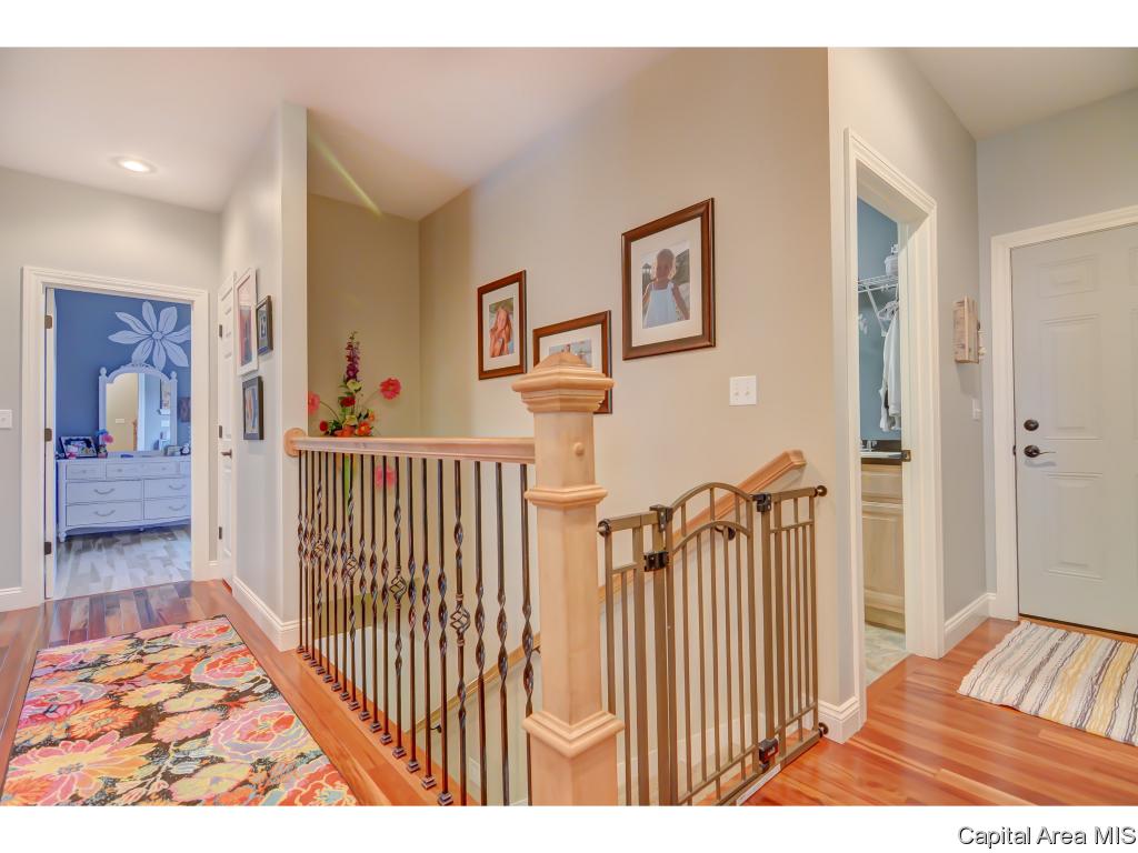 325 Brookside Lane Chatham, IL 62629 - Photo 19 of 27 Gallery Image 19