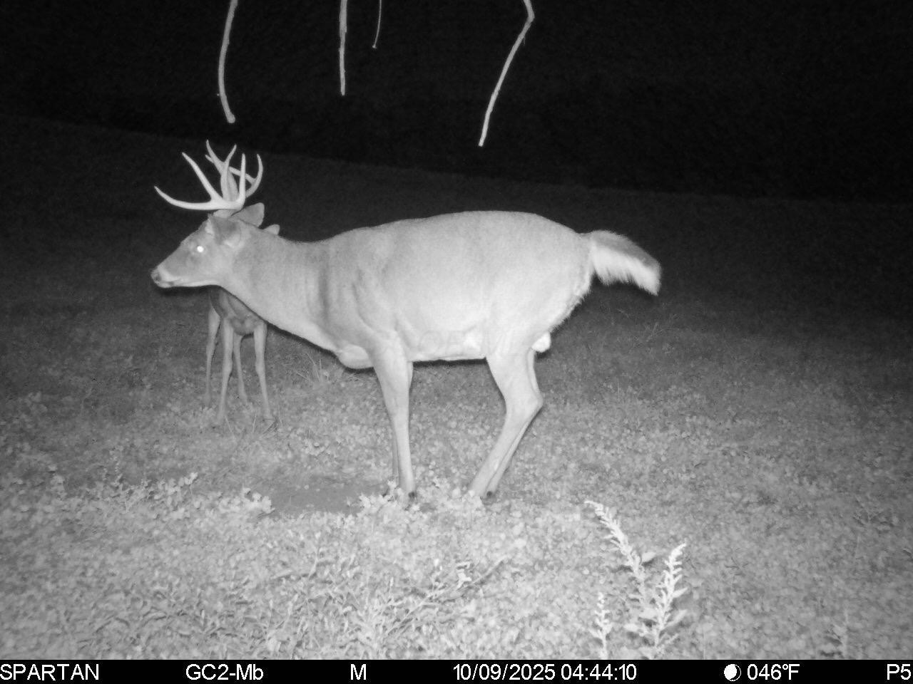 0 Stoneburner Road Northwest Crooksville, OH 43731 - Photo 26 of 26 image3_1