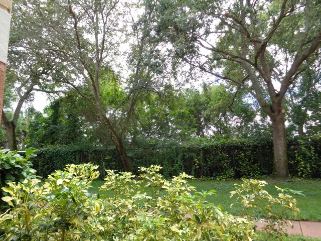 a backyard of a house with lots of green space