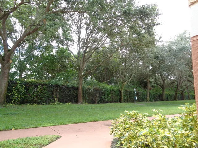 a view of a park with large trees