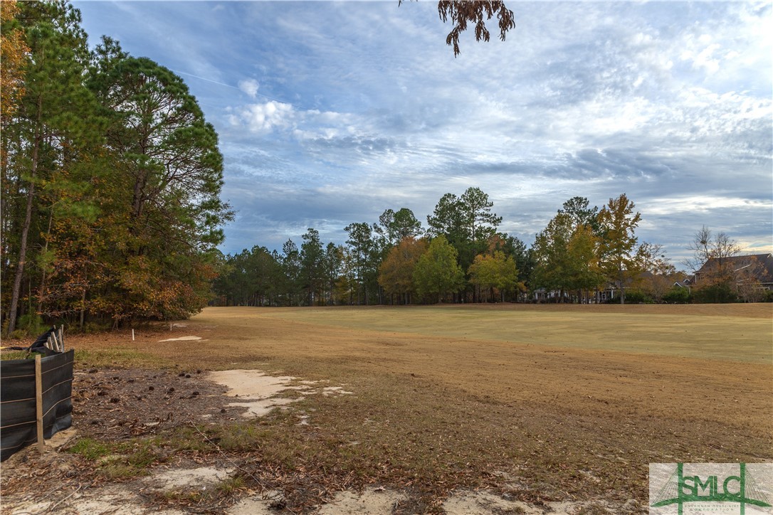 129 Greenhill Cl, Unit CLOSE Pooler, GA 31322 - Photo 3 of 18 Golf course view from back porch