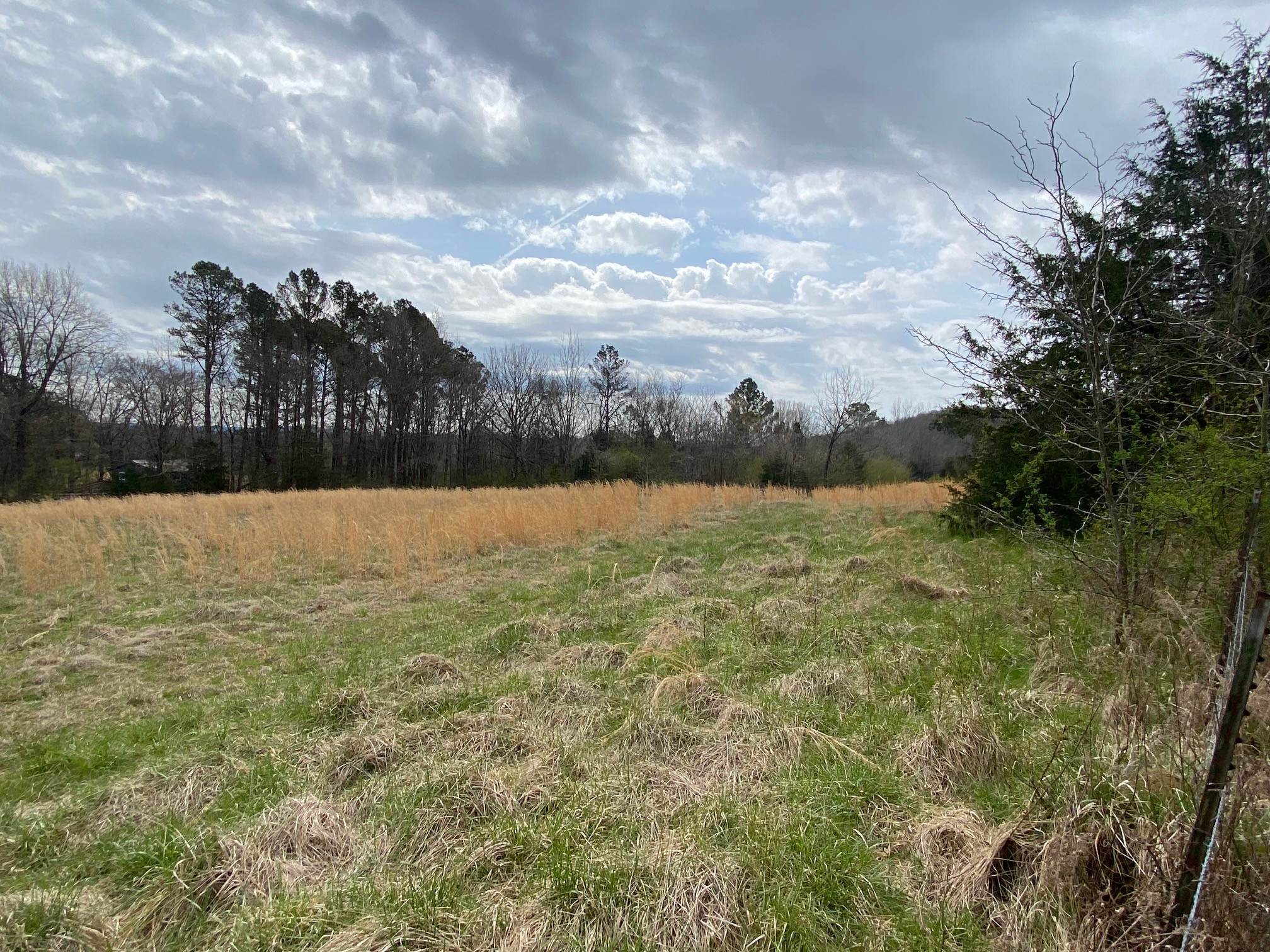 0 Case Road Prospect, TN 38477 - Photo 3 of 4 a backyard of a house with lots of green space
