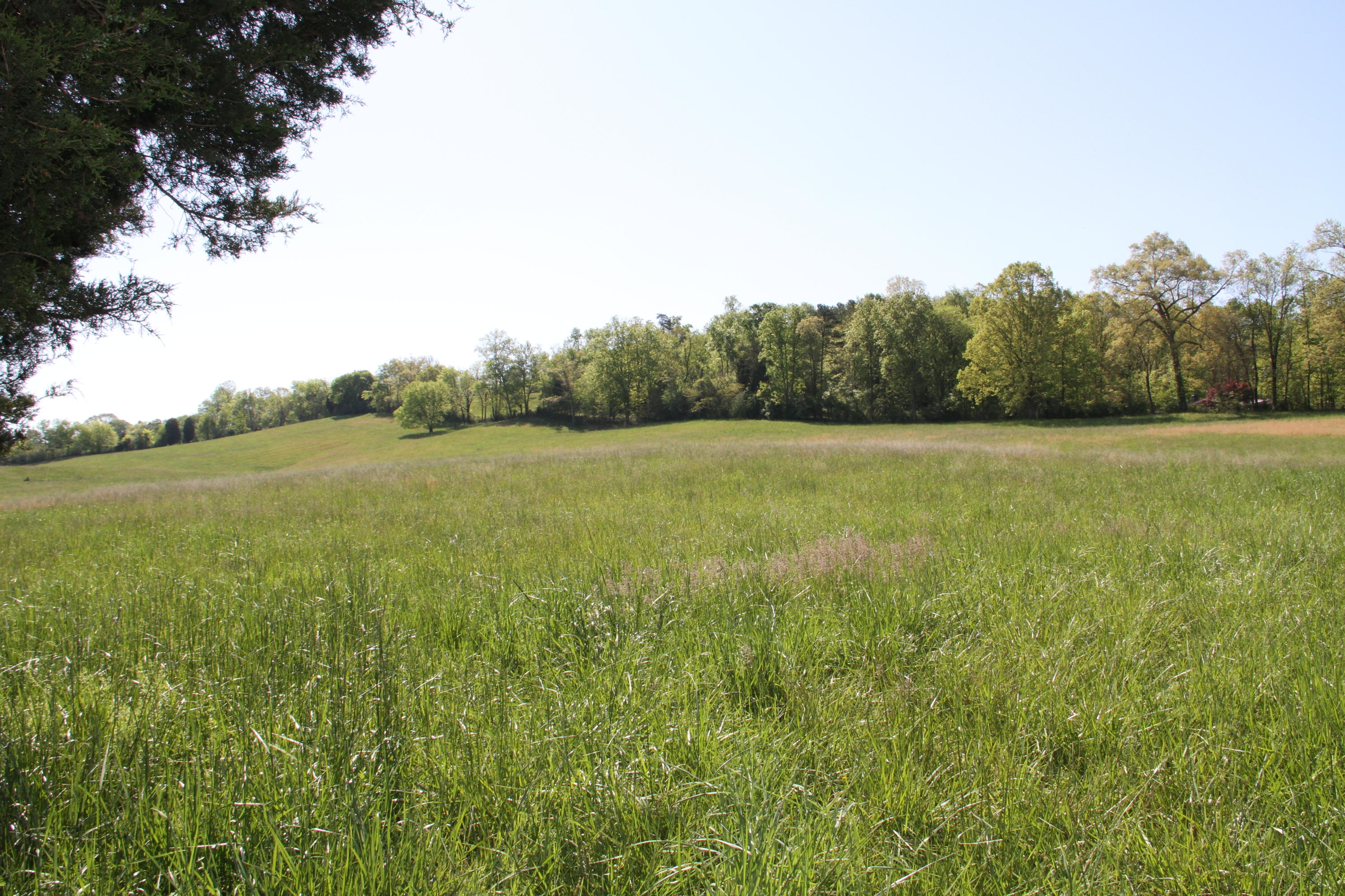46.62-acre Vonore Road Loudon, TN 37774 - Photo 3 of 17 IMG_8719