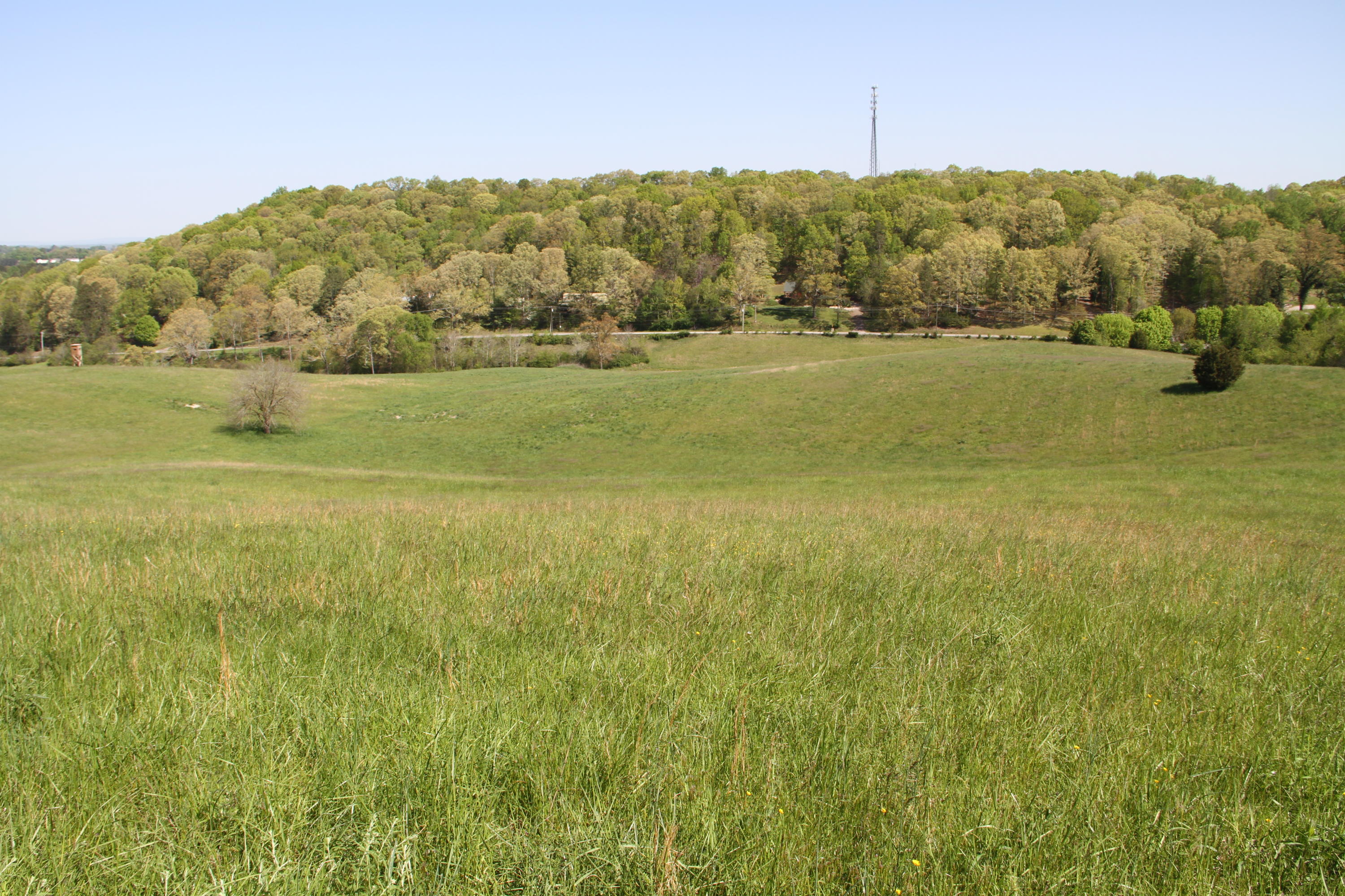 46.62-acre Vonore Road Loudon, TN 37774 - Photo 8 of 17 IMG_8724