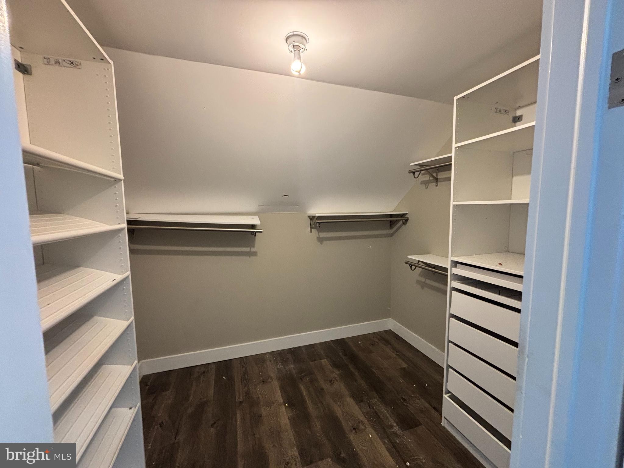 283 Cedar Road Mullica Hill, NJ 08062 - Photo 19 of 42