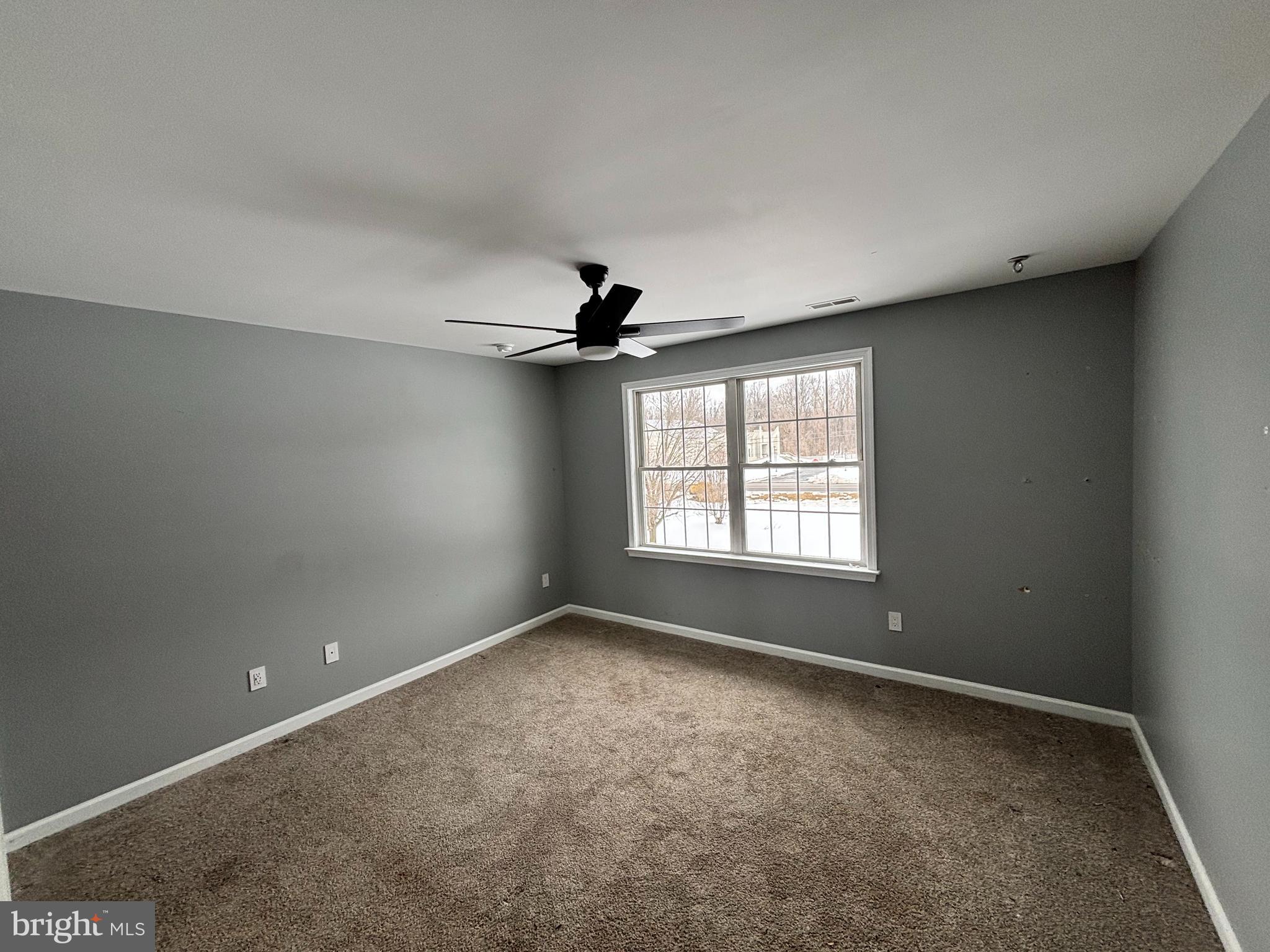 283 Cedar Road Mullica Hill, NJ 08062 - Photo 24 of 42