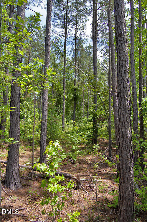 I I G F Ball Road Louisburg, NC 27549 - Photo 1 of 4