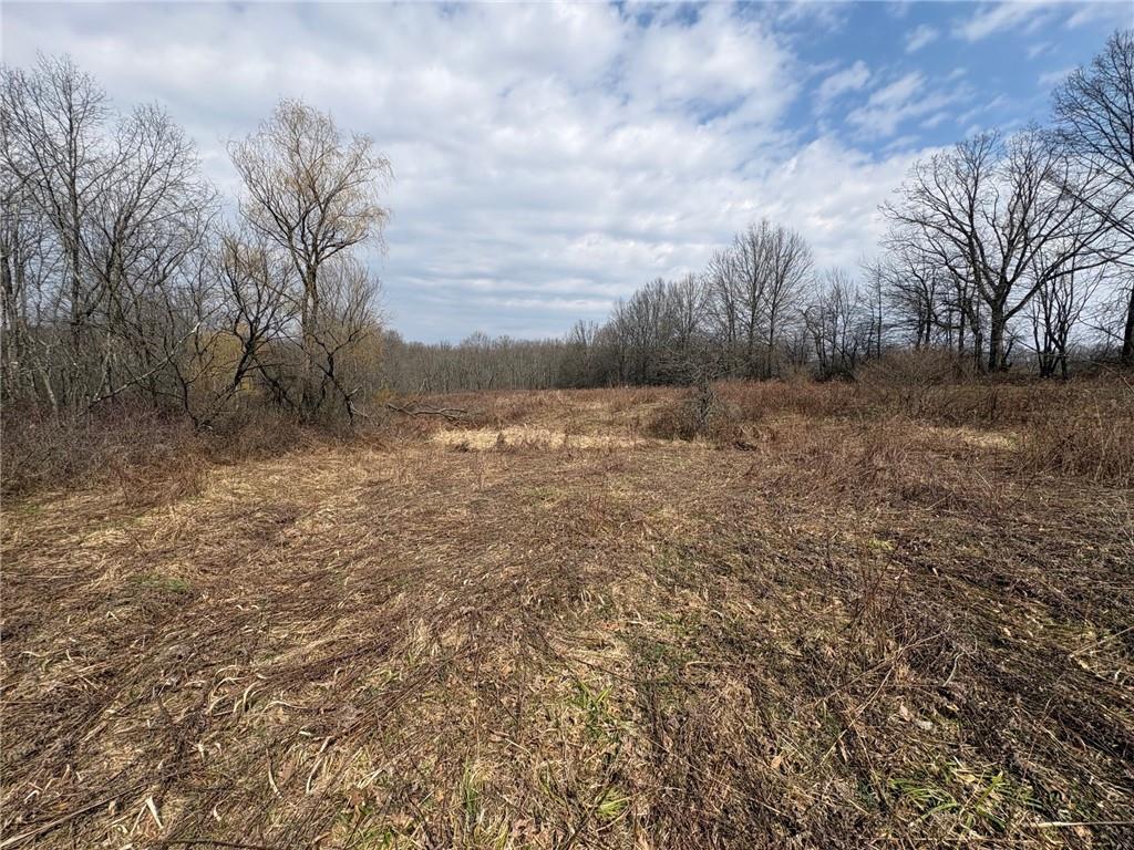 790 Clay Furnace Road Sharpsville, PA 16150 - Photo 11 of 20