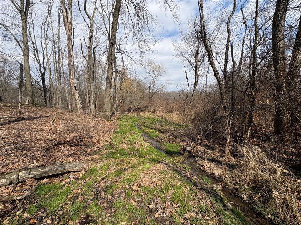 790 Clay Furnace Road Sharpsville, PA 16150 - Photo 12 of 20