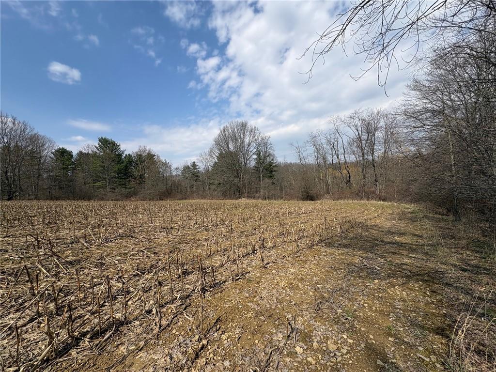 790 Clay Furnace Road Sharpsville, PA 16150 - Photo 13 of 20