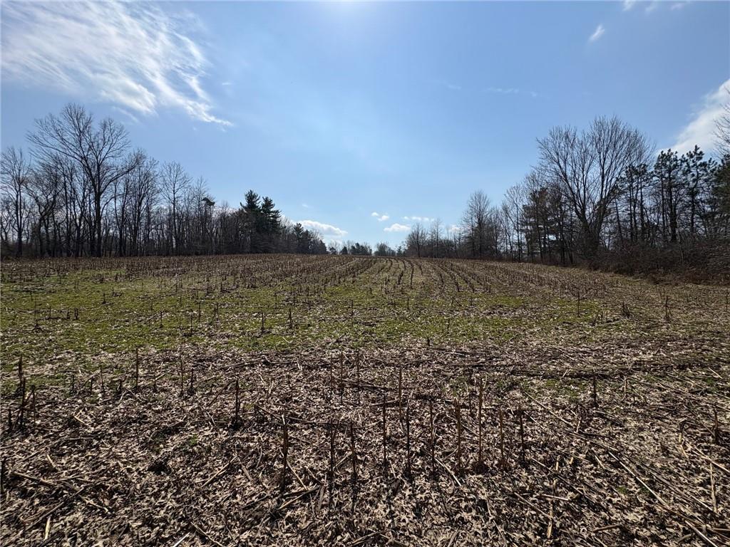 790 Clay Furnace Road Sharpsville, PA 16150 - Photo 14 of 20