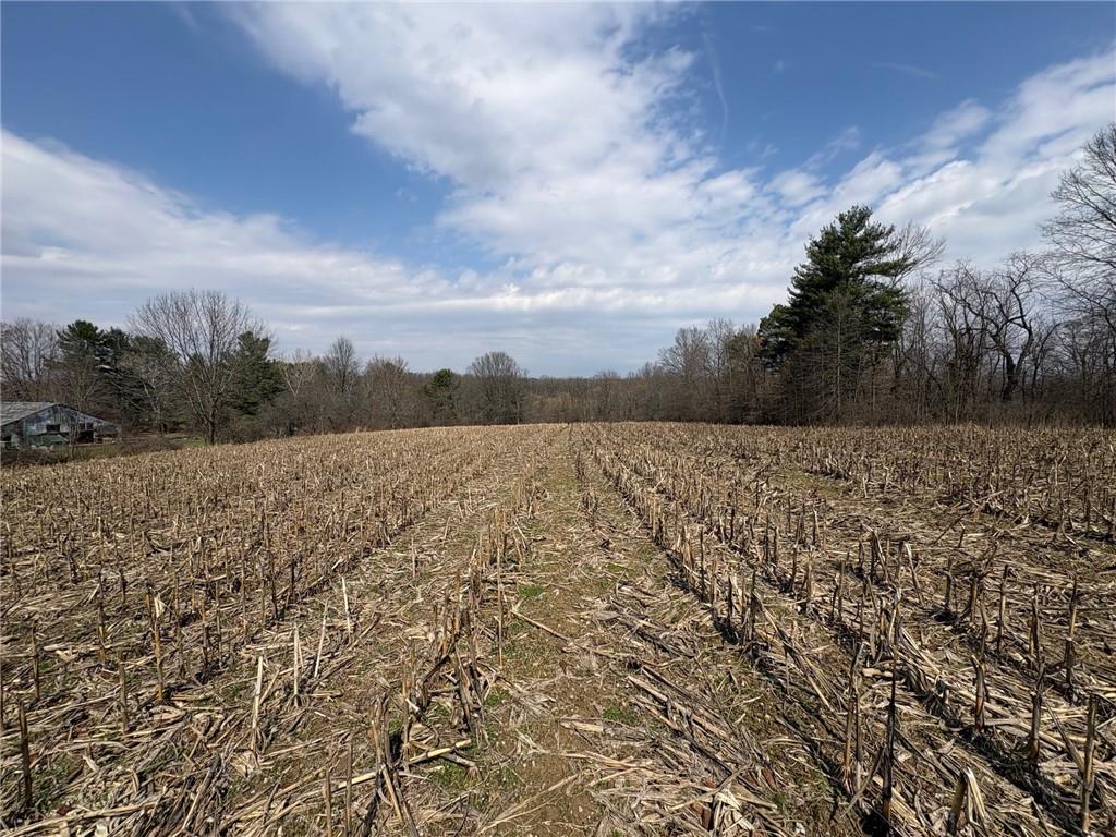 790 Clay Furnace Road Sharpsville, PA 16150 - Photo 15 of 20