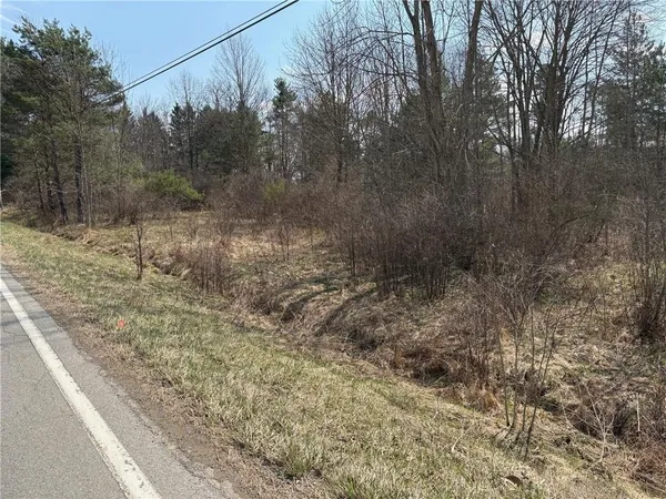 a view of a yard with trees in the background