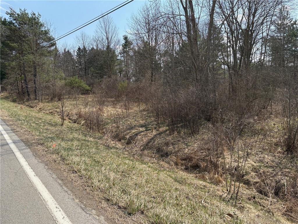 790 Clay Furnace Road Sharpsville, PA 16150 - Photo 3 of 20