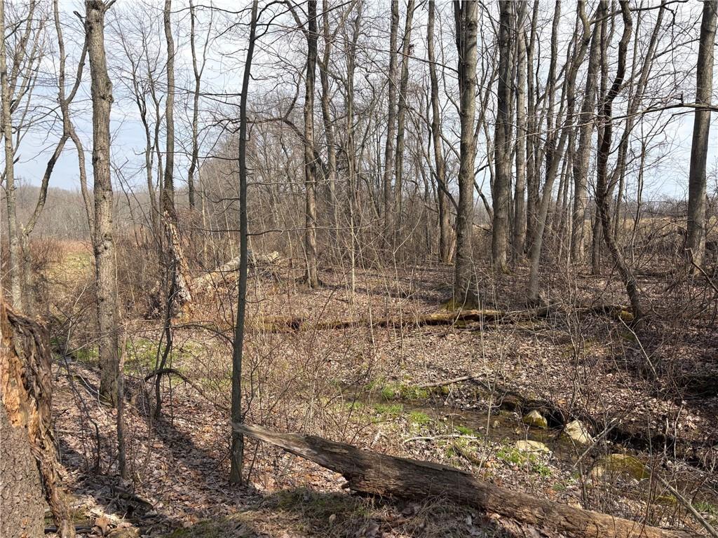 790 Clay Furnace Road Sharpsville, PA 16150 - Photo 7 of 20