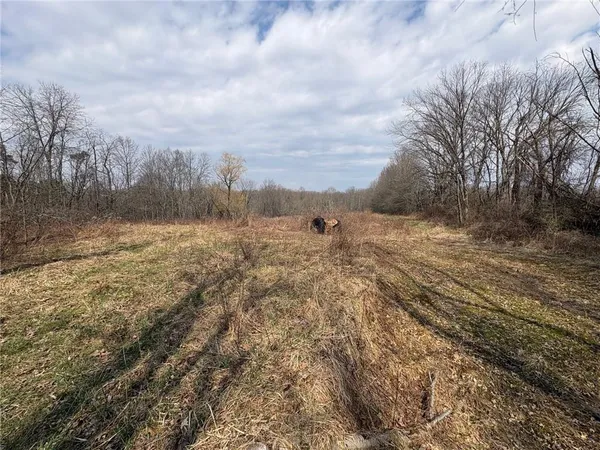 a view of a covered with fog