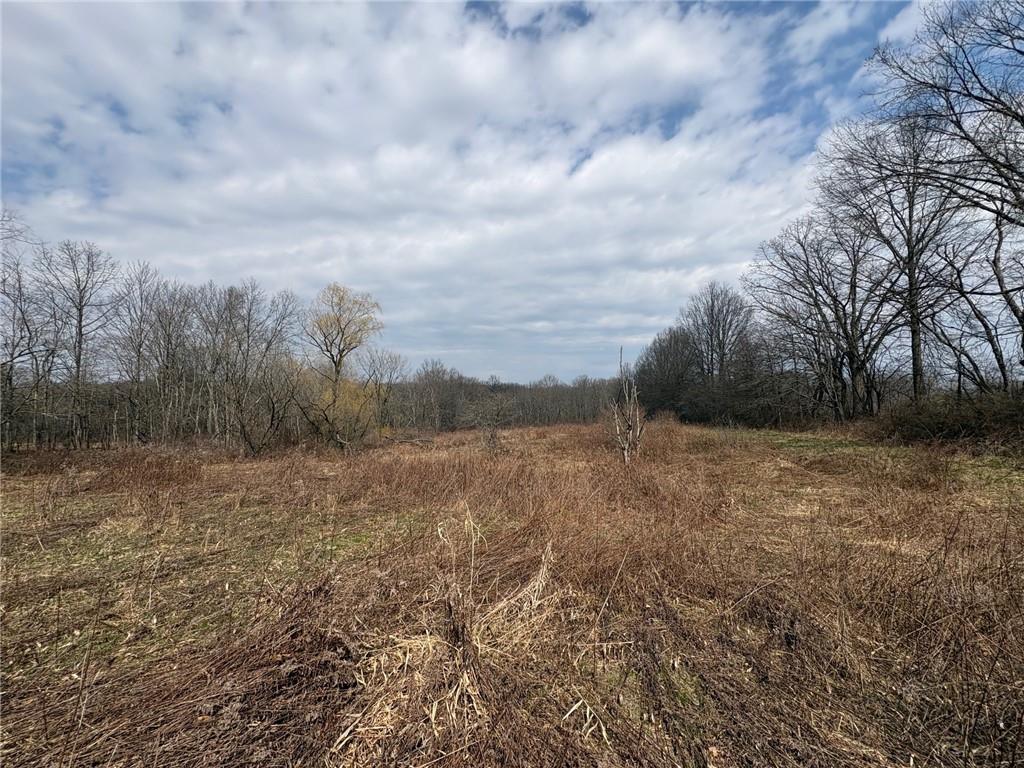 790 Clay Furnace Road Sharpsville, PA 16150 - Photo 10 of 20