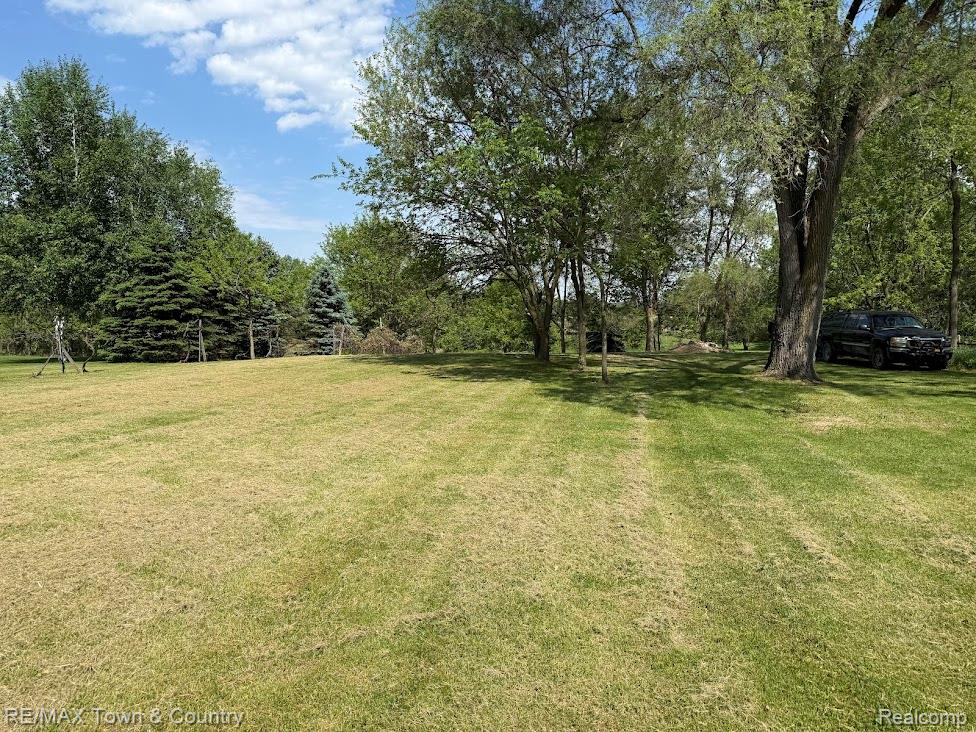 4372 North Gale Road Davison, MI 48423 - Photo 39 of 46 Expansive lot featuring mature deciduous and evergreen trees