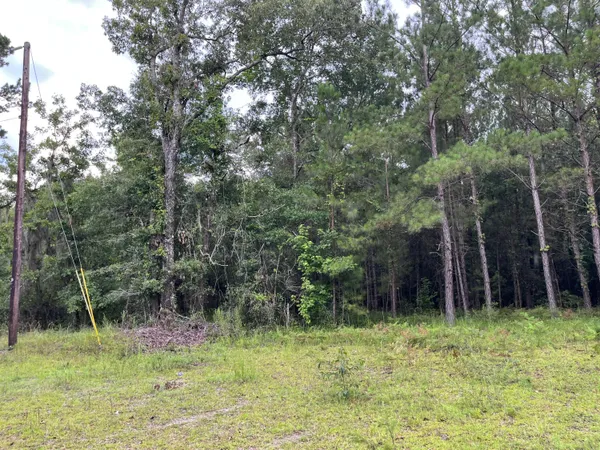 $699,000 | 0 Carolette Court, Walterboro, SC 29488