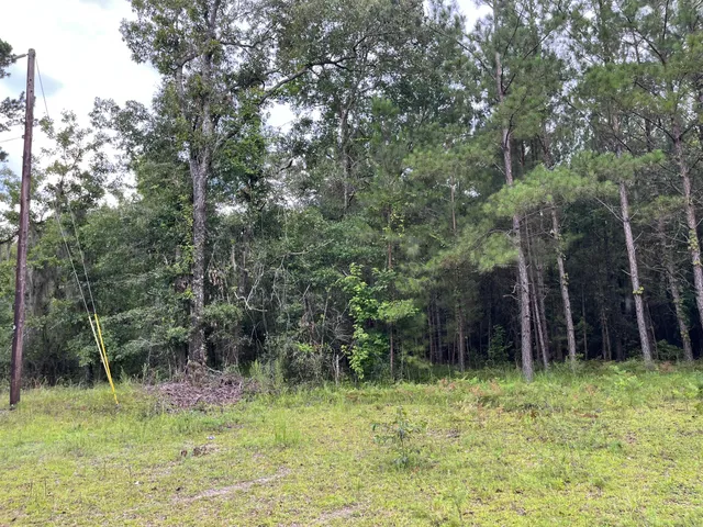 $699,000 | 0 Carolette Court, Walterboro, SC 29488