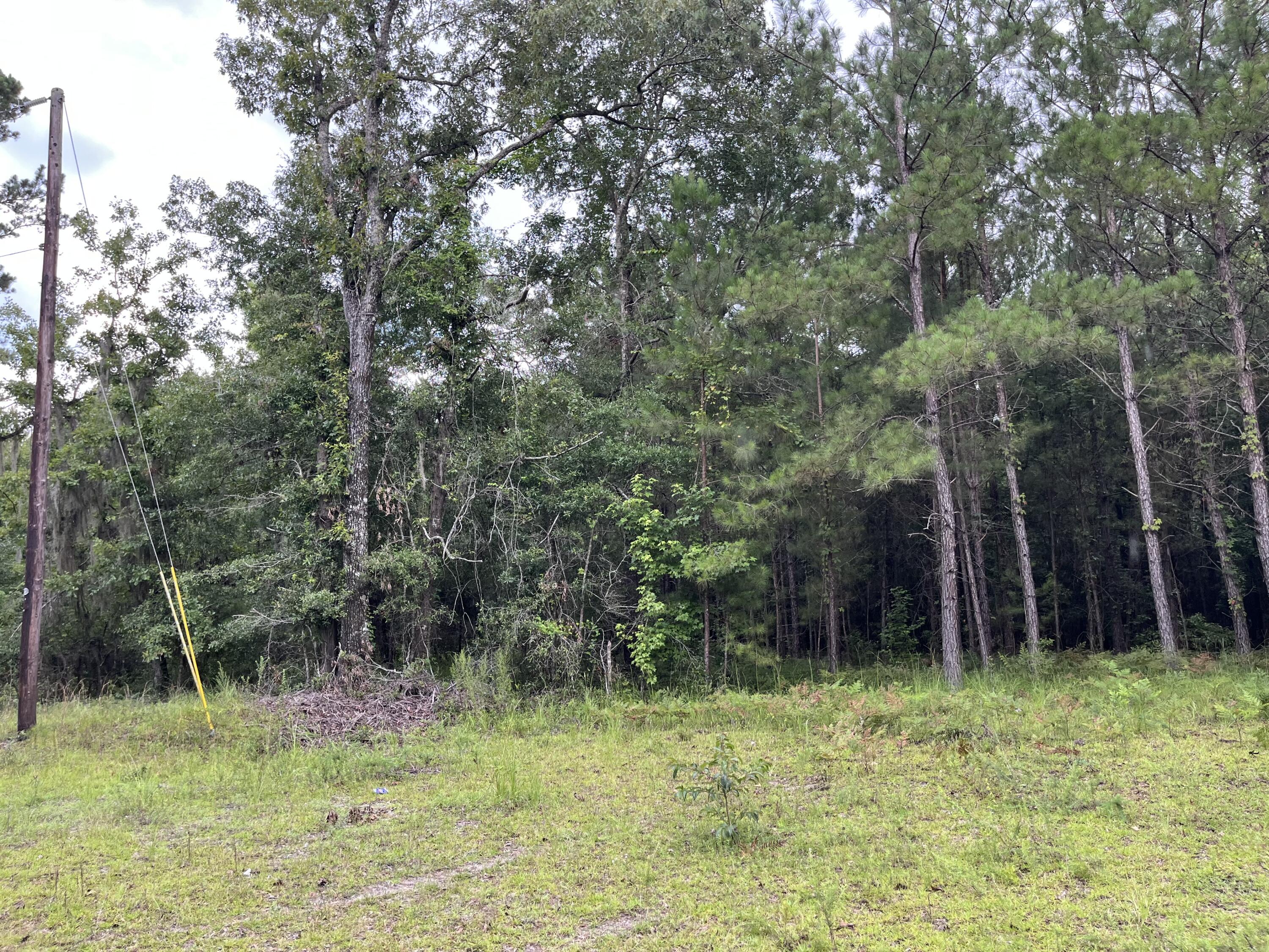 0 Carolette Court Walterboro, SC 29488 - Photo 11 of 18 IMG_3634