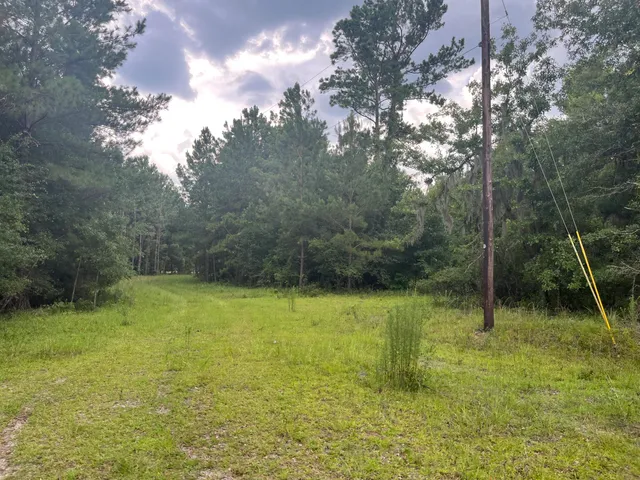 $699,000 | 0 Carolette Court, Walterboro, SC 29488