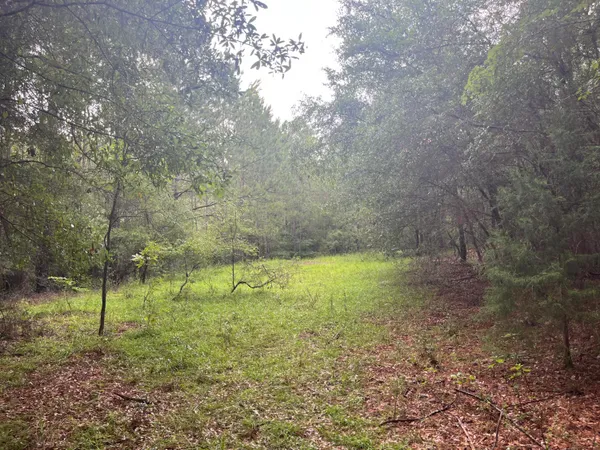 $699,000 | 0 Carolette Court, Walterboro, SC 29488