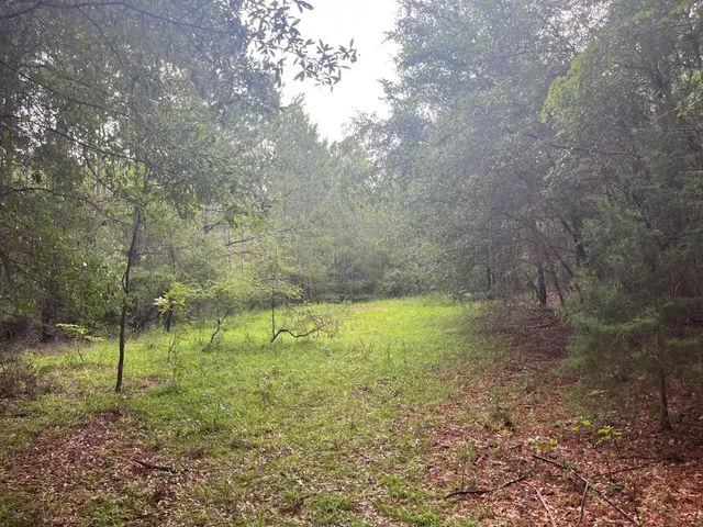 $699,000 | 0 Carolette Court, Walterboro, SC 29488