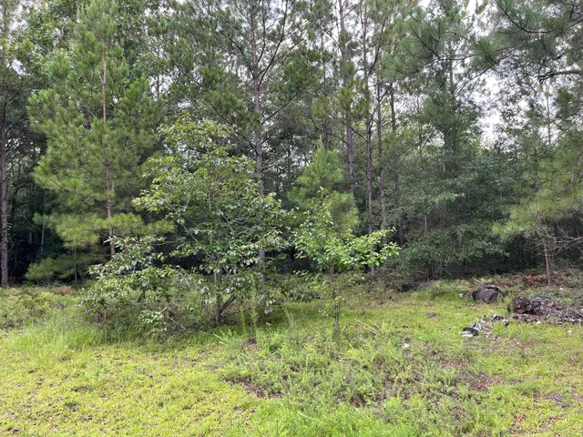 $699,000 | 0 Carolette Court, Walterboro, SC 29488