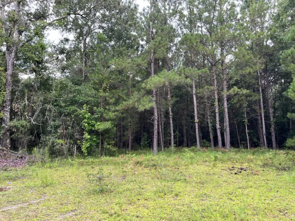 $699,000 | 0 Carolette Court, Walterboro, SC 29488