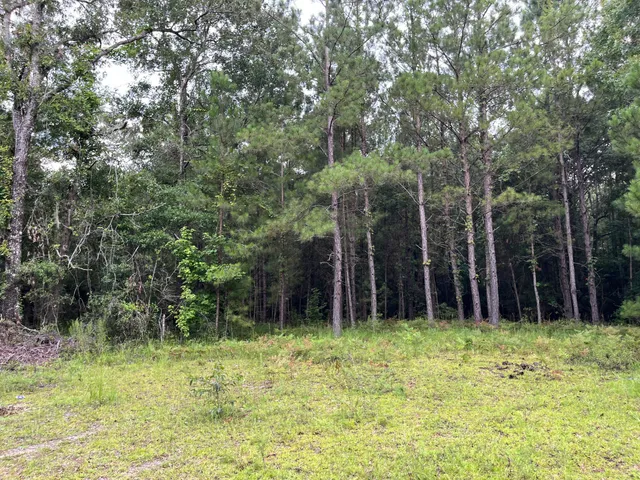 $699,000 | 0 Carolette Court, Walterboro, SC 29488