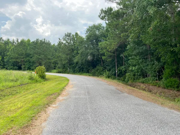 $699,000 | 0 Carolette Court, Walterboro, SC 29488