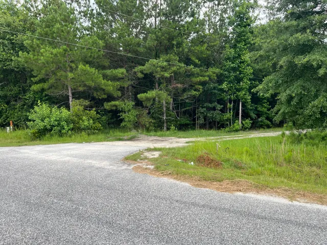 $699,000 | 0 Carolette Court, Walterboro, SC 29488