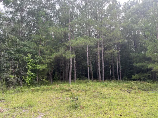 $699,000 | 0 Carolette Court, Walterboro, SC 29488