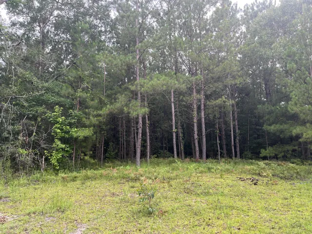 $699,000 | 0 Carolette Court, Walterboro, SC 29488