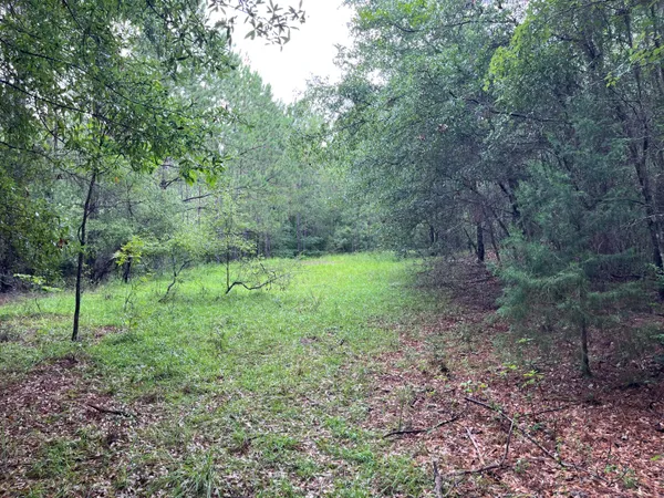 $699,000 | 0 Carolette Court, Walterboro, SC 29488