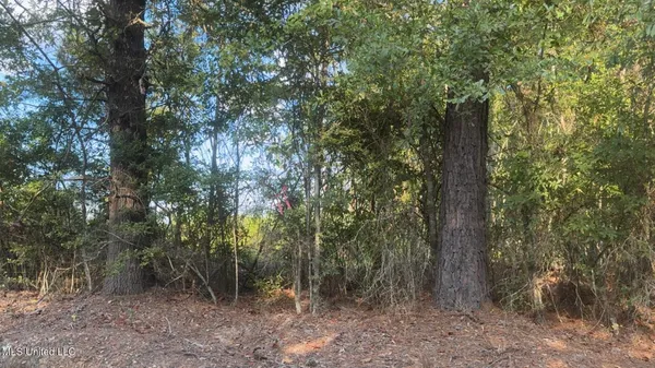 $101,200 | 4041 Road Kosciusko Ms 39090, Kosciusko, MS 39090