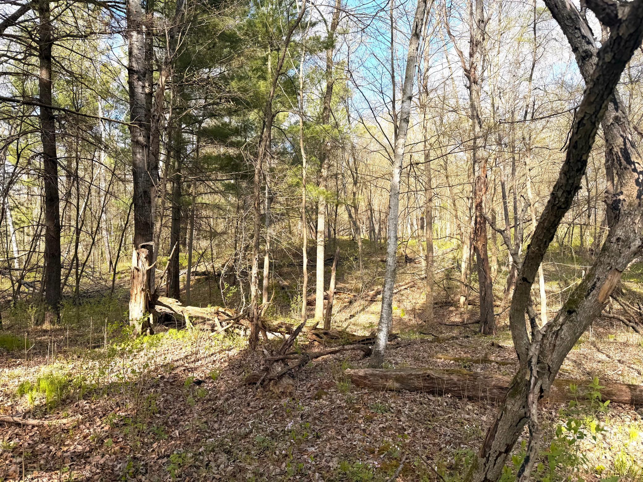 Tbd County Line Avenue Clear Lake, WI 54005 - Photo 12 of 12