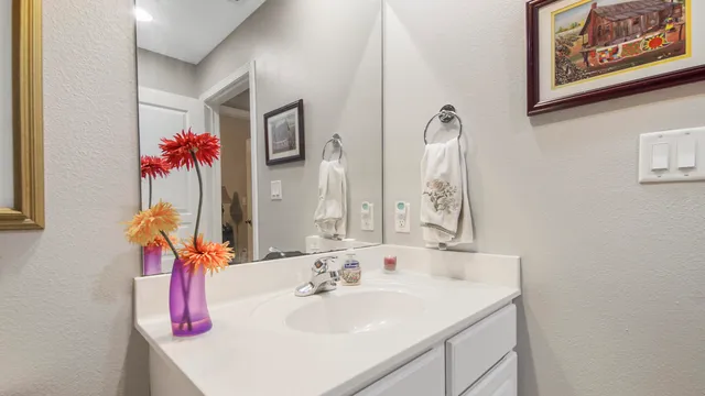 a bathroom with a sink vanity and a mirror