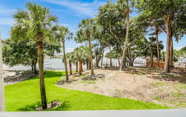 a view of yard with trees